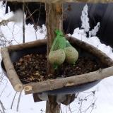 photo 2019-01-09 13-25-17