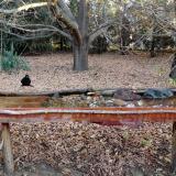 photo 2021-10-26 08-02-31