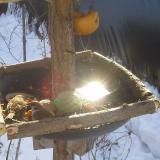 photo 2019-01-27 10-13-07