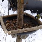 photo 2019-01-08 09-09-38