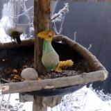 photo 2019-01-21 08-05-01