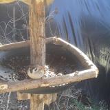 photo 2019-02-18 12-00-10