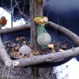 photo 2019-01-16 07-55-08