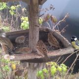 photo 2019-12-12 11-40-25