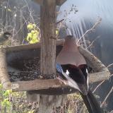 photo 2019-12-22 11-41-53