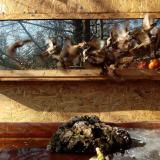 photo 2022-01-24 12-12-51