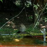 photo 2021-05-08 11-16-49 rigo