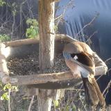 photo 2019-12-17 14-18-26