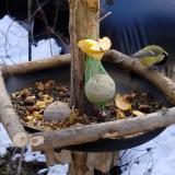 photo 2019-01-14 11-44-05