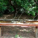 photo 2021-07-14 12-35-49