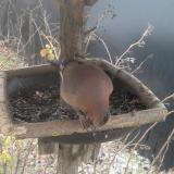 photo 2019-12-31 08-45-12