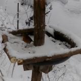 photo 2019-01-05 14-15-00