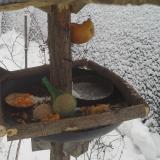 photo 2019-01-25 09-48-50