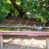 photo 2021-08-07 18-46-14