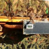 photo 2021-02-22 13-47-36