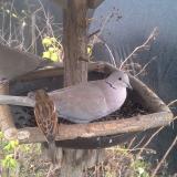 photo 2019-12-22 13-48-38