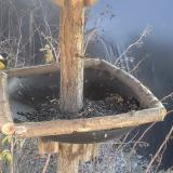 photo 2019-12-31 13-07-02