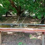 photo 2021-07-08 15-59-00