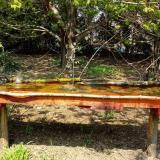 photo 2021-04-21 12-53-14