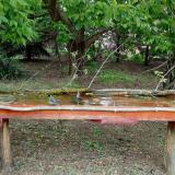 photo 2021-05-06 12-52-50