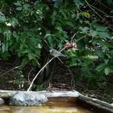 photo 2021-08-25 09-10-26 cinke