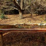 photo 2021-10-26 14-30-53