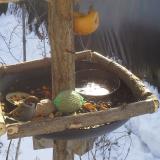 photo 2019-01-27 10-30-18