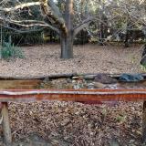 photo 2021-10-26 08-08-42