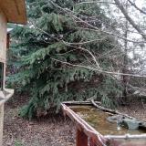 photo 2021-12-12 10-23-28