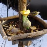 photo 2019-01-12 15-06-49