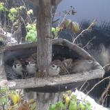 photo 2019-12-02 08-17-34