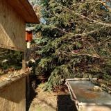 photo 2022-01-12 12-45-10