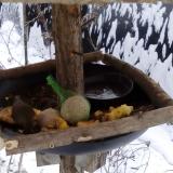 photo 2019-01-22 09-17-06