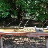 photo 2021-09-06 08-10-47