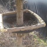 photo 2019-02-24 08-42-42