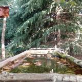 photo 2023-10-05 11-23-14