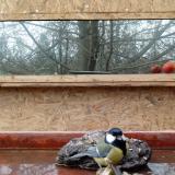 photo 2022-01-31 13-58-12