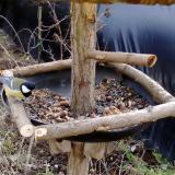 photo 2019-01-02 11-47-48