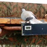 photo 2021-03-05 14-05-11