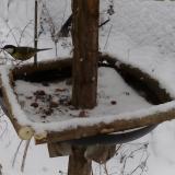 photo 2019-01-08 14-31-08