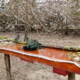 photo 2021-03-24 09-16-12