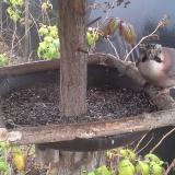 photo 2019-12-12 11-51-52