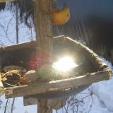 photo 2019-01-27 10-11-47