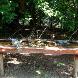 photo 2021-07-21 09-52-00