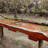 photo 2021-04-03 12-23-13