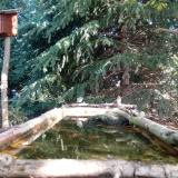 photo 2023-10-12 10-24-25