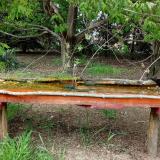 photo 2021-04-29 15-46-38