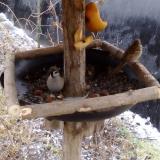 photo 2019-02-05 09-18-46