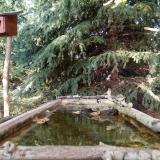 photo 2023-10-11 15-44-31 3