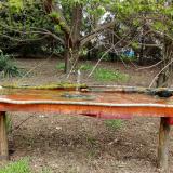 photo 2021-04-18 10-25-48